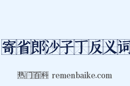 寄省郎沙子丁反义词是什么意思的图片